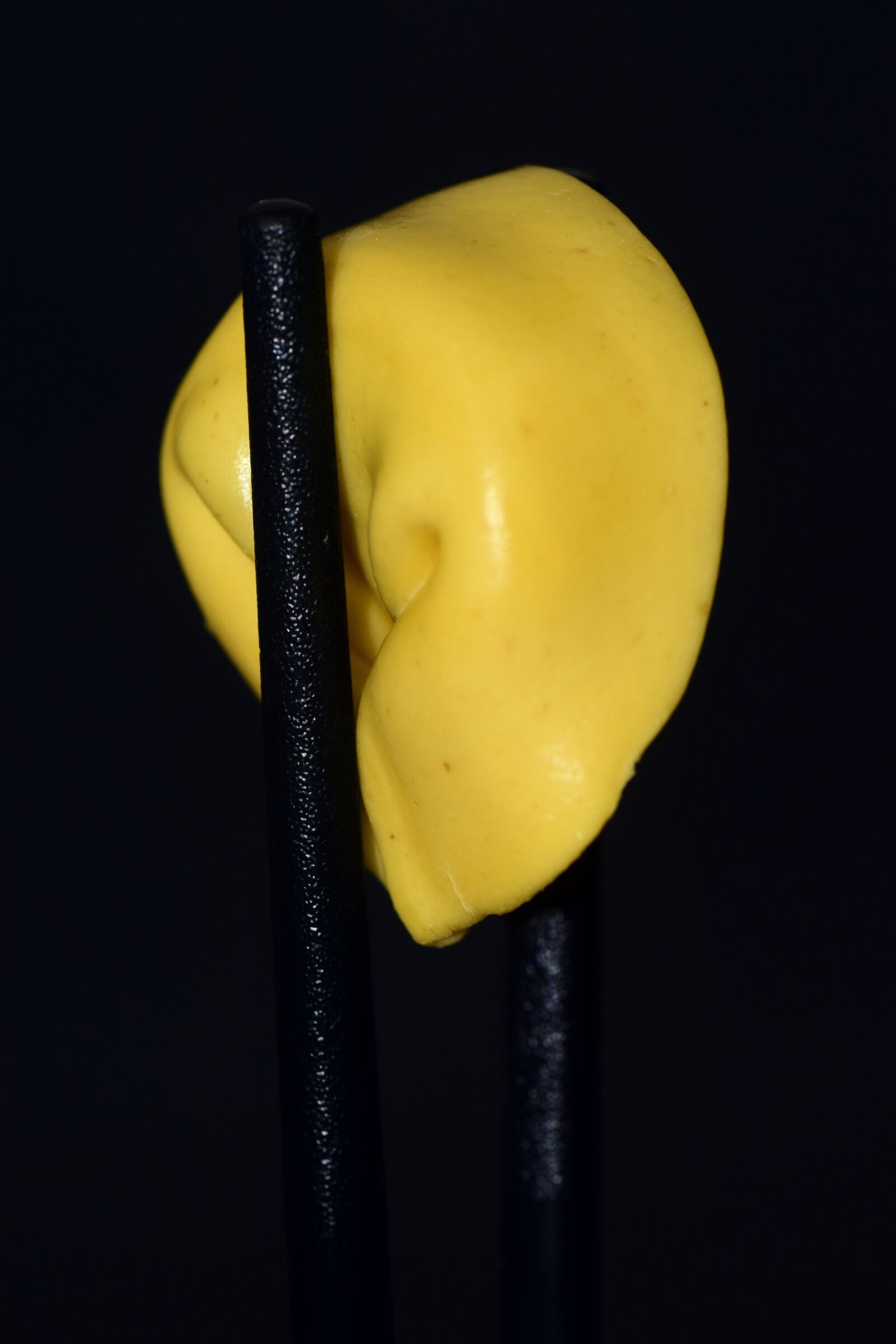 Nikon D3300 sample photo. Noodle, tortellini, chopsticks photography