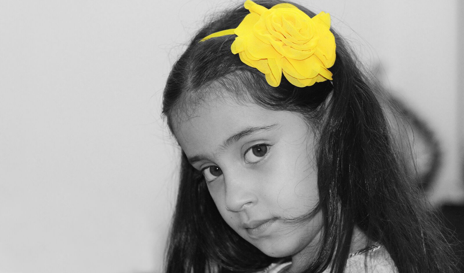 Canon EOS 550D (EOS Rebel T2i / EOS Kiss X4) sample photo. Girl, rose, yellow photography