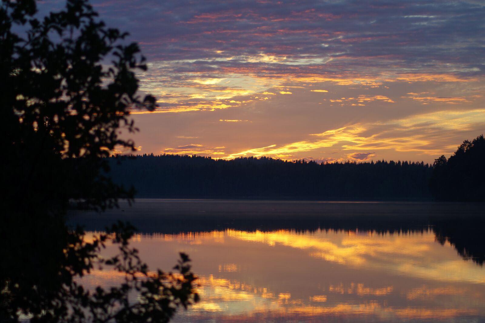 Sony SLT-A58 sample photo. Sunset, shrubs, summer photography