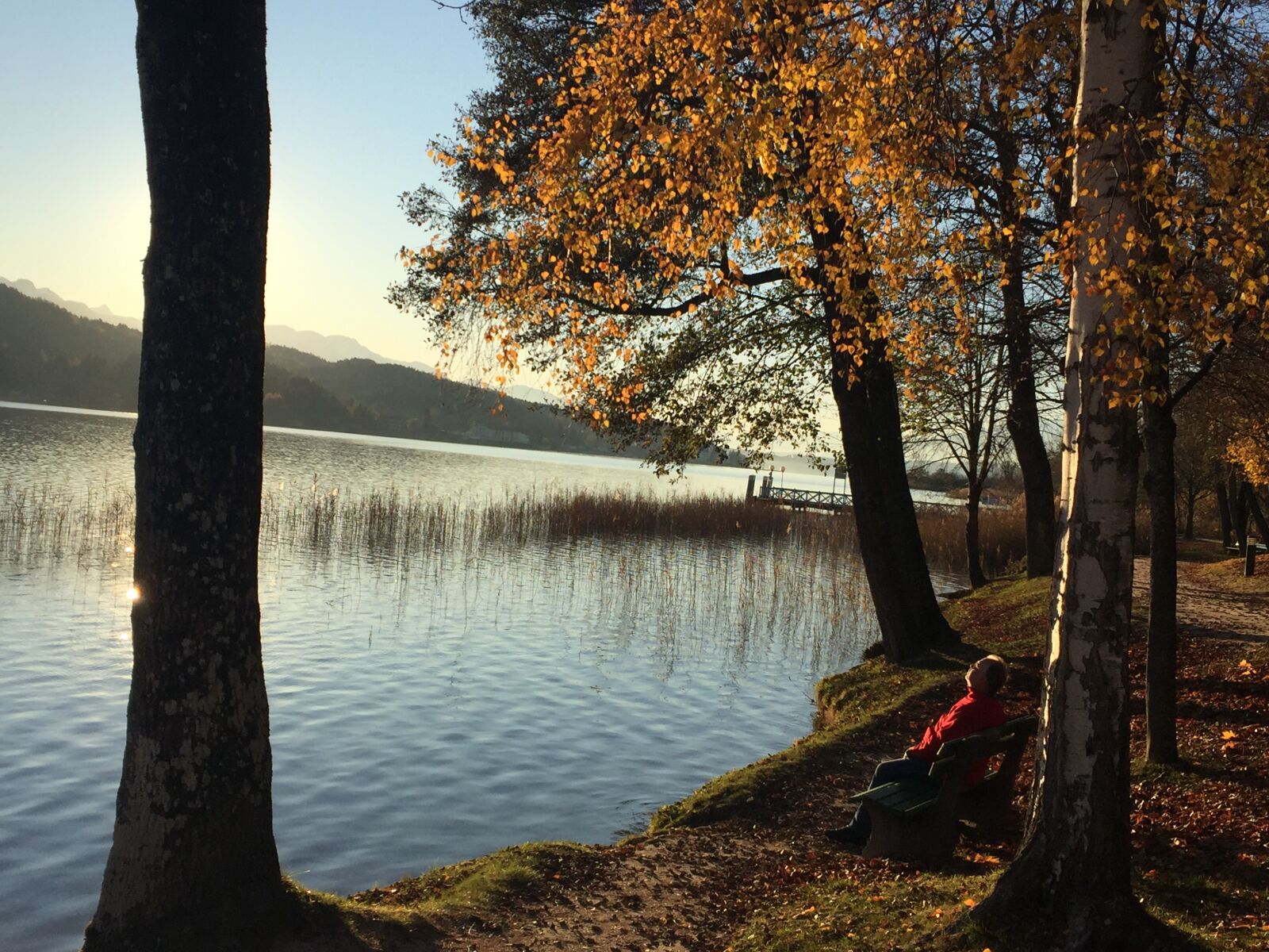 iPhone 6 back camera 4.15mm f/2.2 sample photo. Autumn, wörthersee, mood photography