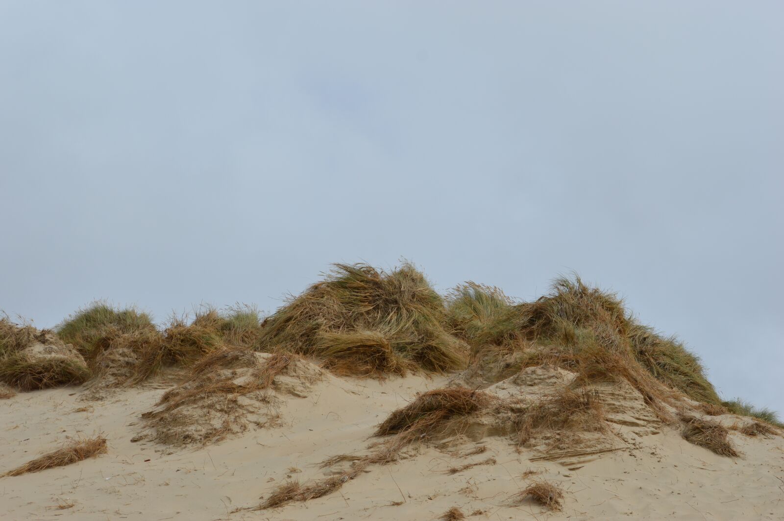 Nikon D3200 sample photo. Dune, sand, blue sky photography