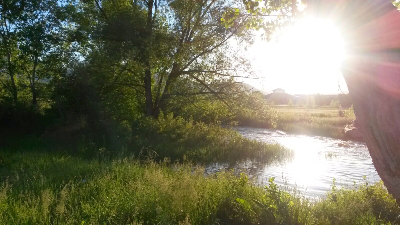 Samsung Galaxy S4 Mini sample photo. River, sun photography