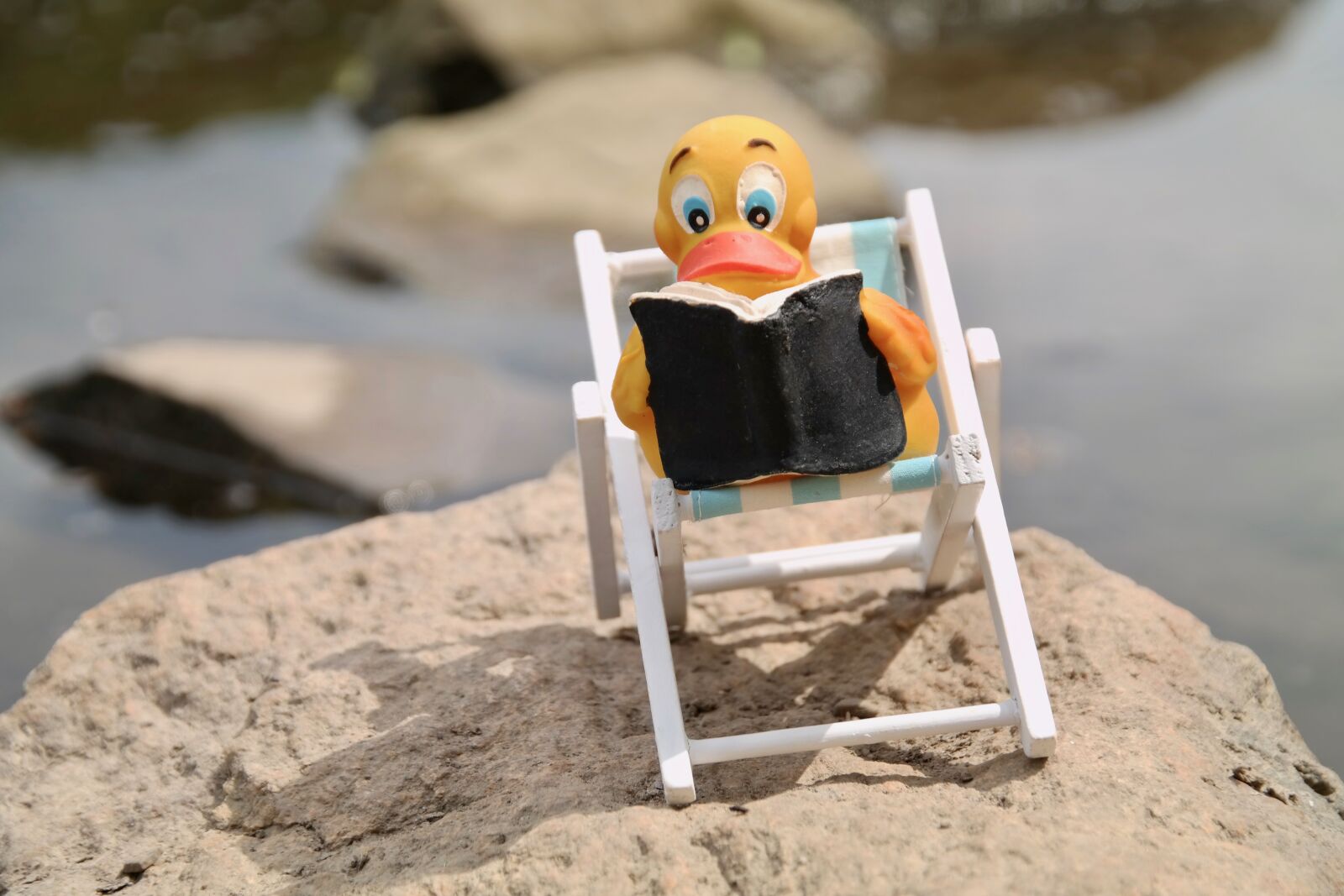 Samsung NX300 sample photo. Read, quietscheente, duck photography