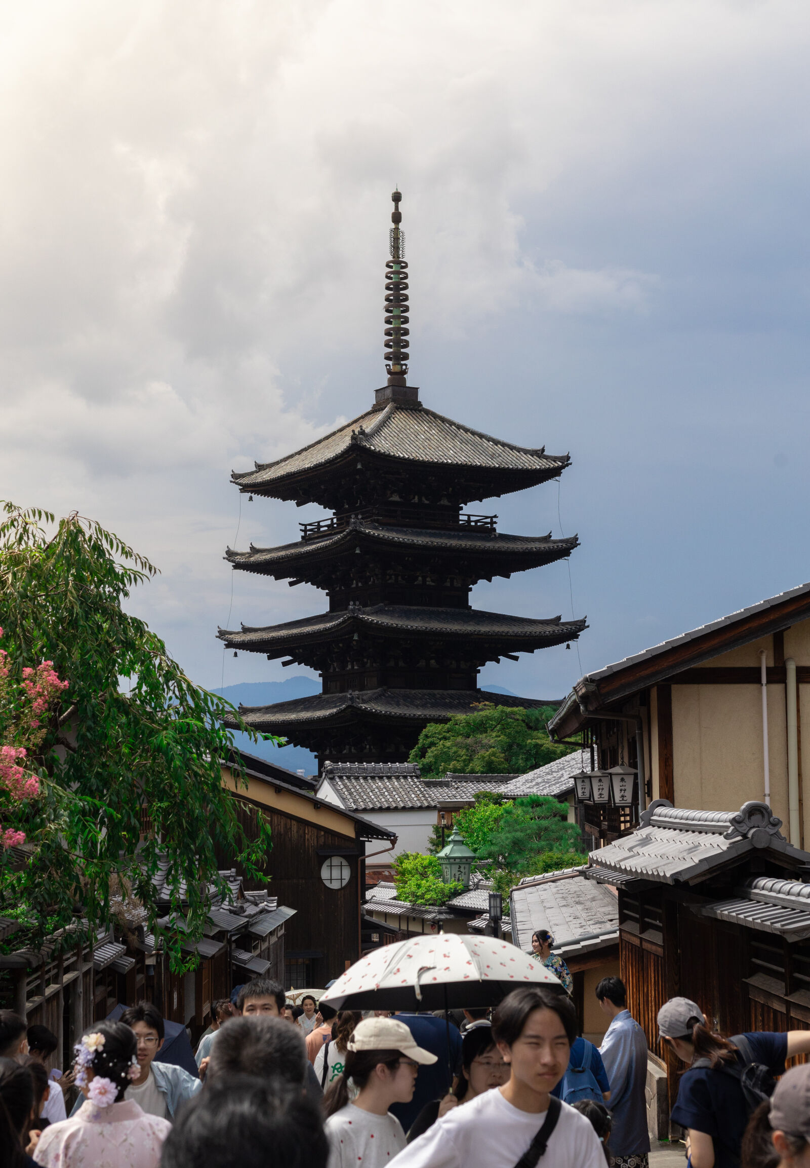 Canon EF 50mm F1.8 STM sample photo