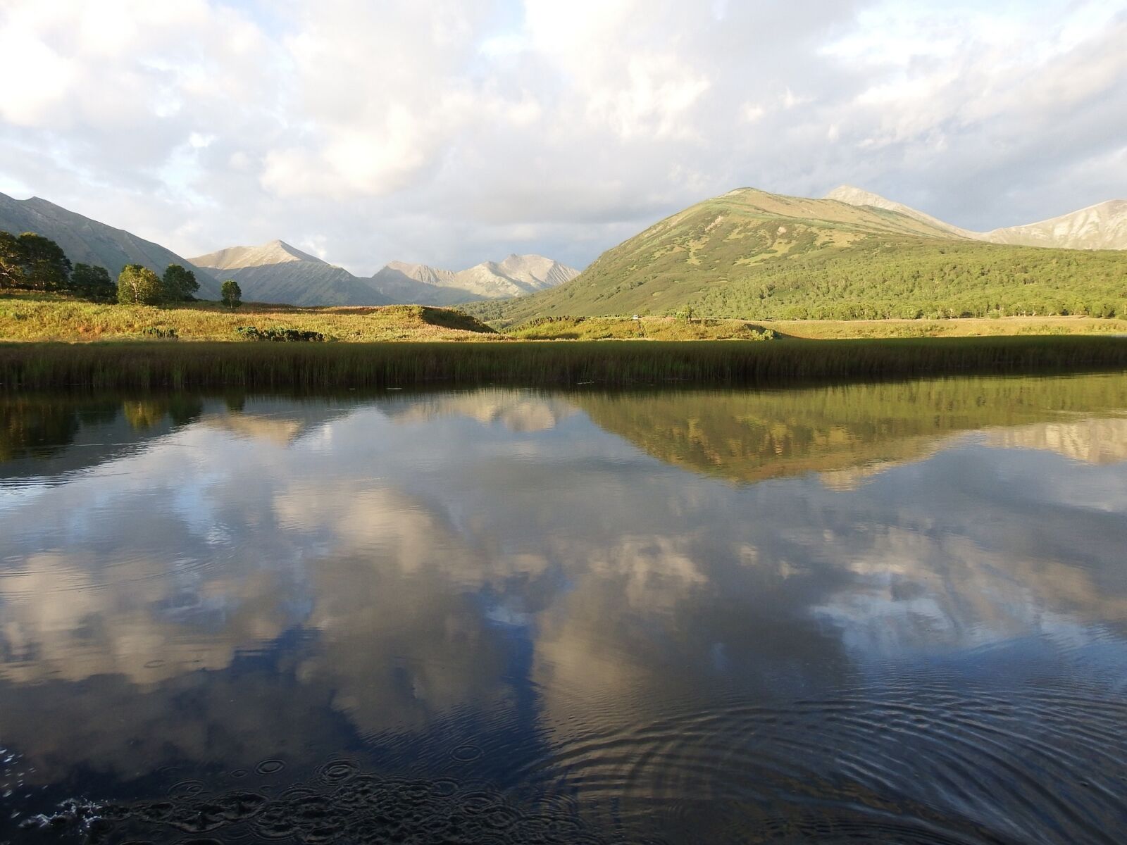 Fujifilm FinePix S1 sample photo. Lake, mountains, forest photography
