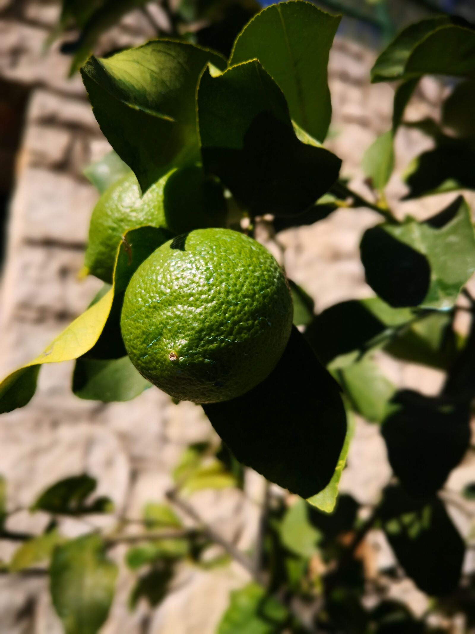 HUAWEI Mate 10 Pro sample photo. Limone, lime, caipirinha photography