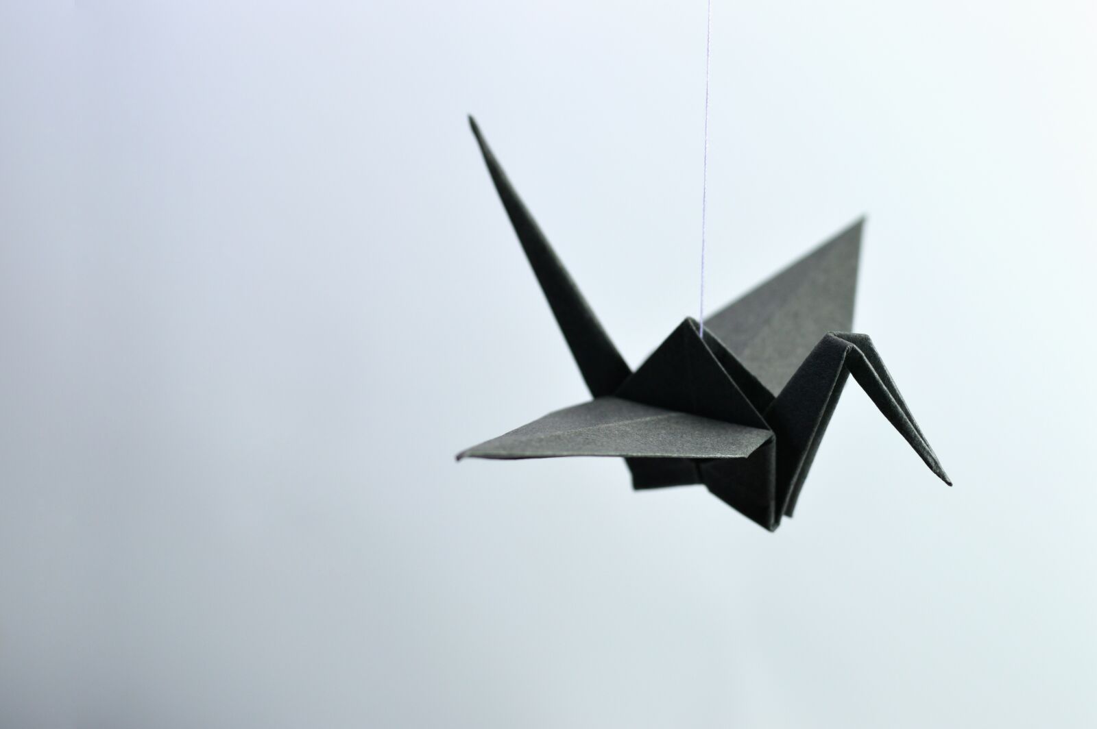 Nikon D3200 sample photo. Origami, paper, bent photography