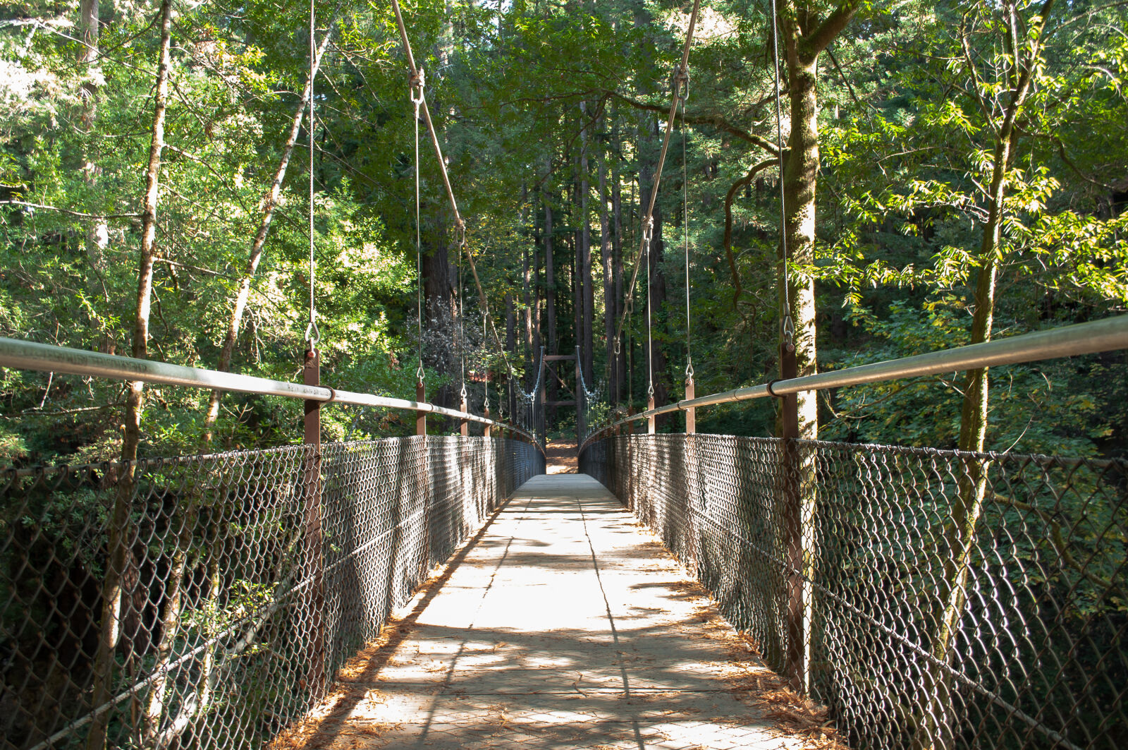 Nikon D5000 sample photo. Bridge, forest, suspension, bridge photography