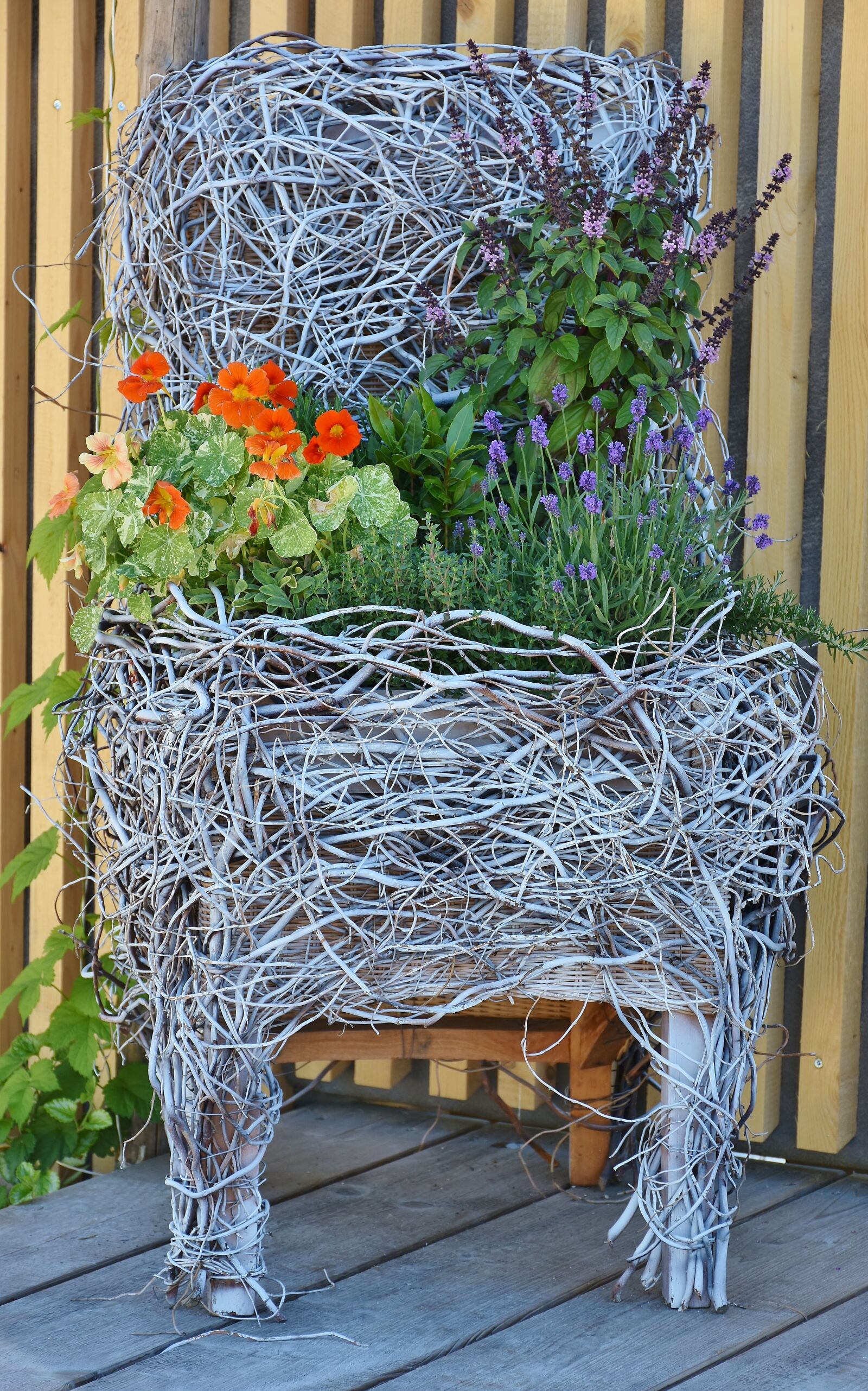 Nikon D7200 sample photo. Garden, garden design, chair photography