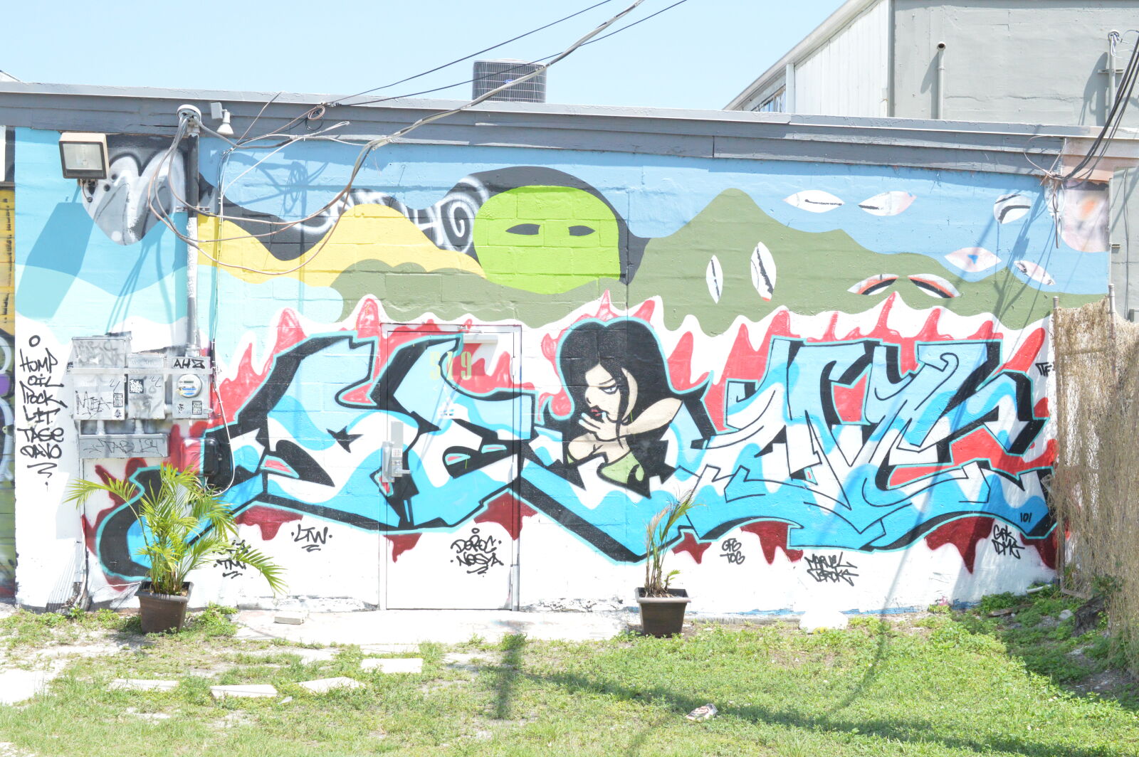 Nikon AF-S DX Micro Nikkor 40mm F2.8 sample photo. Art, broward, colors, graffiti photography