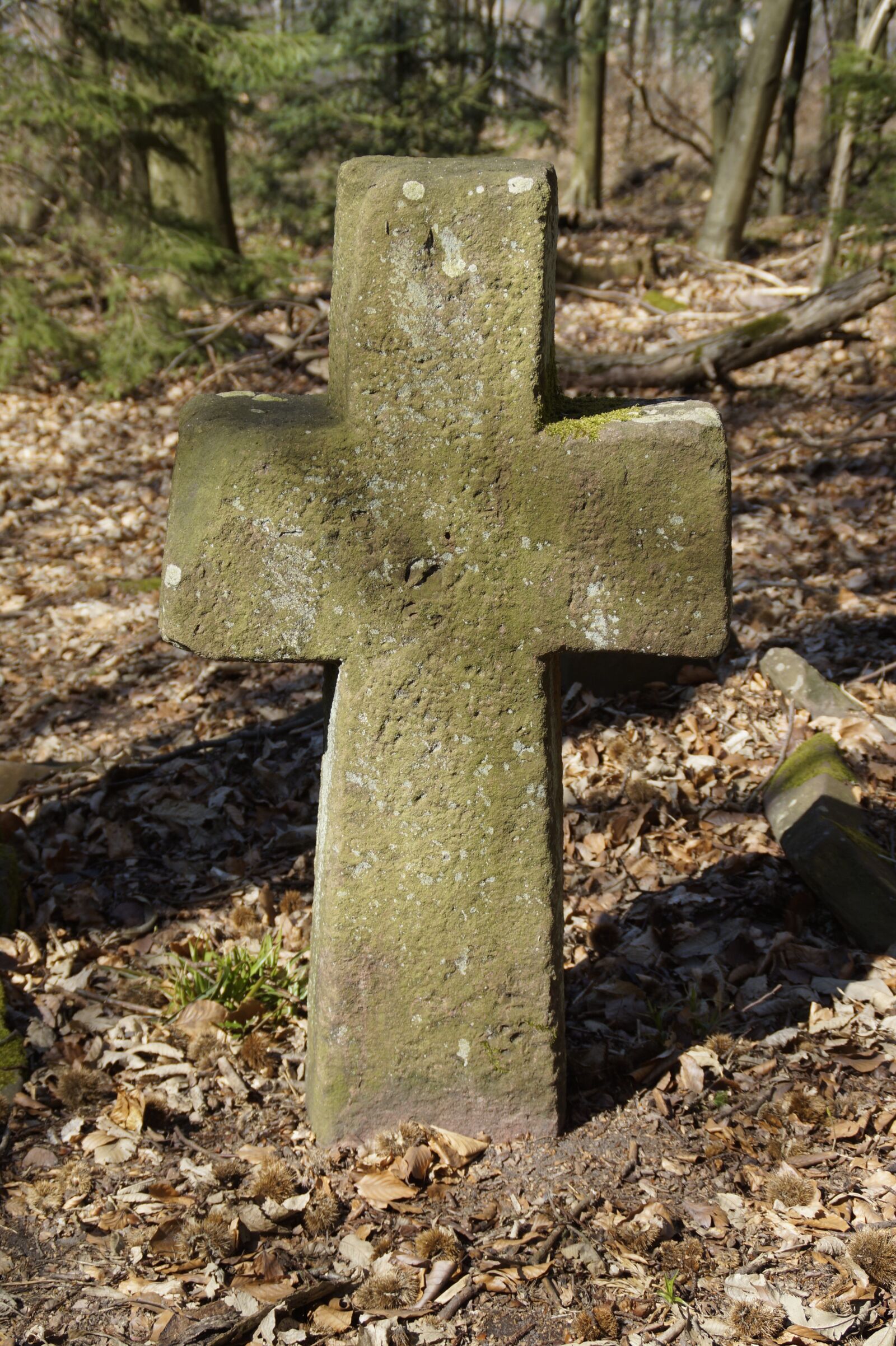 Sony SLT-A58 sample photo. Cemetery, grave, tombstone photography