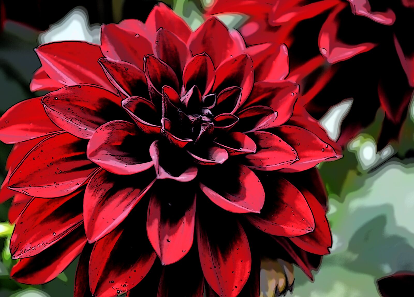 Nikon D3100 sample photo. Flower, red, bloom photography