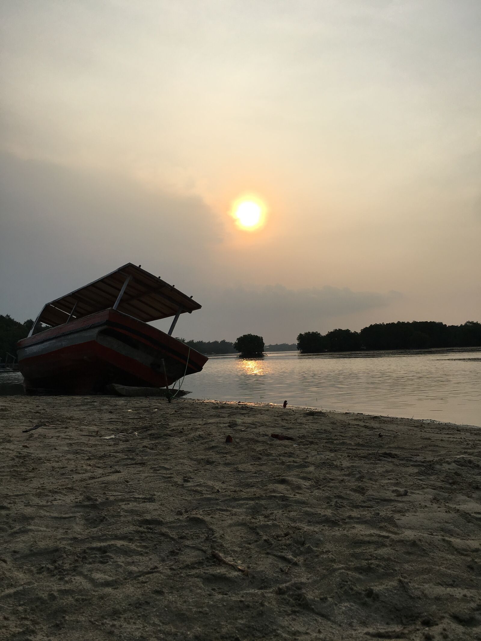 iPhone 6s Plus back camera 4.15mm f/2.2 sample photo. Beach, mangroves, mobilephotography, nature photography