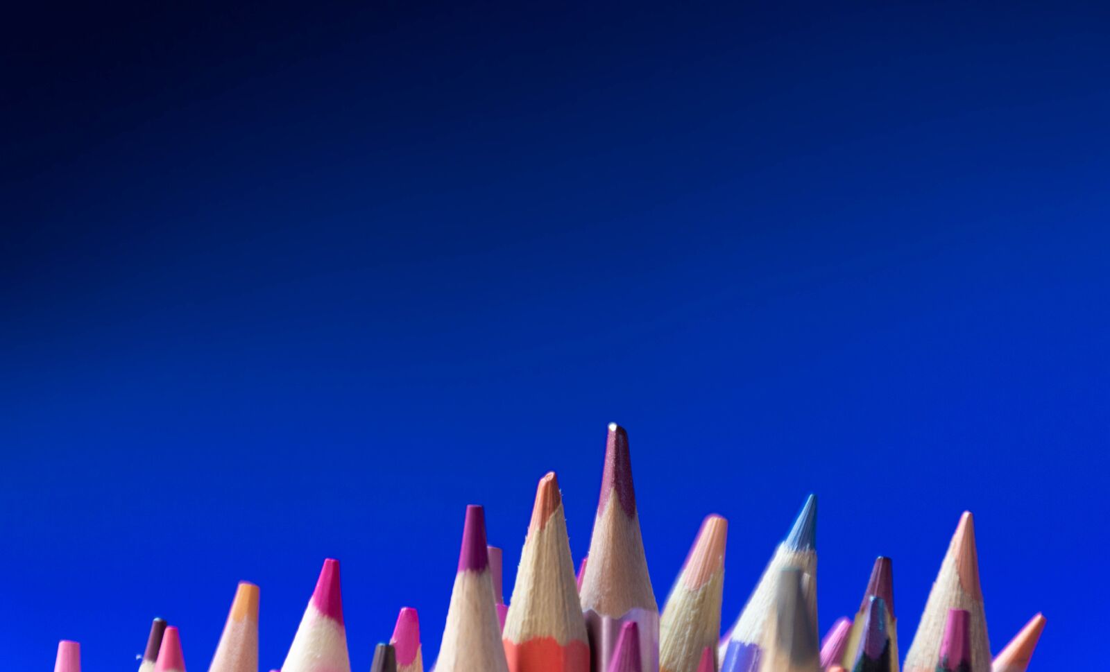 Nikon D7200 sample photo. Pencils, pink, purple photography