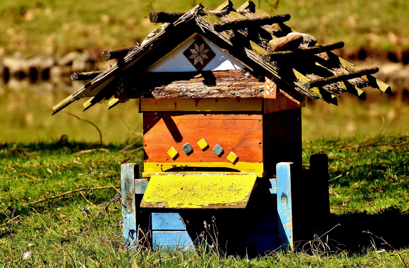 Nikon D7200 sample photo. Beehive, bees, wood photography