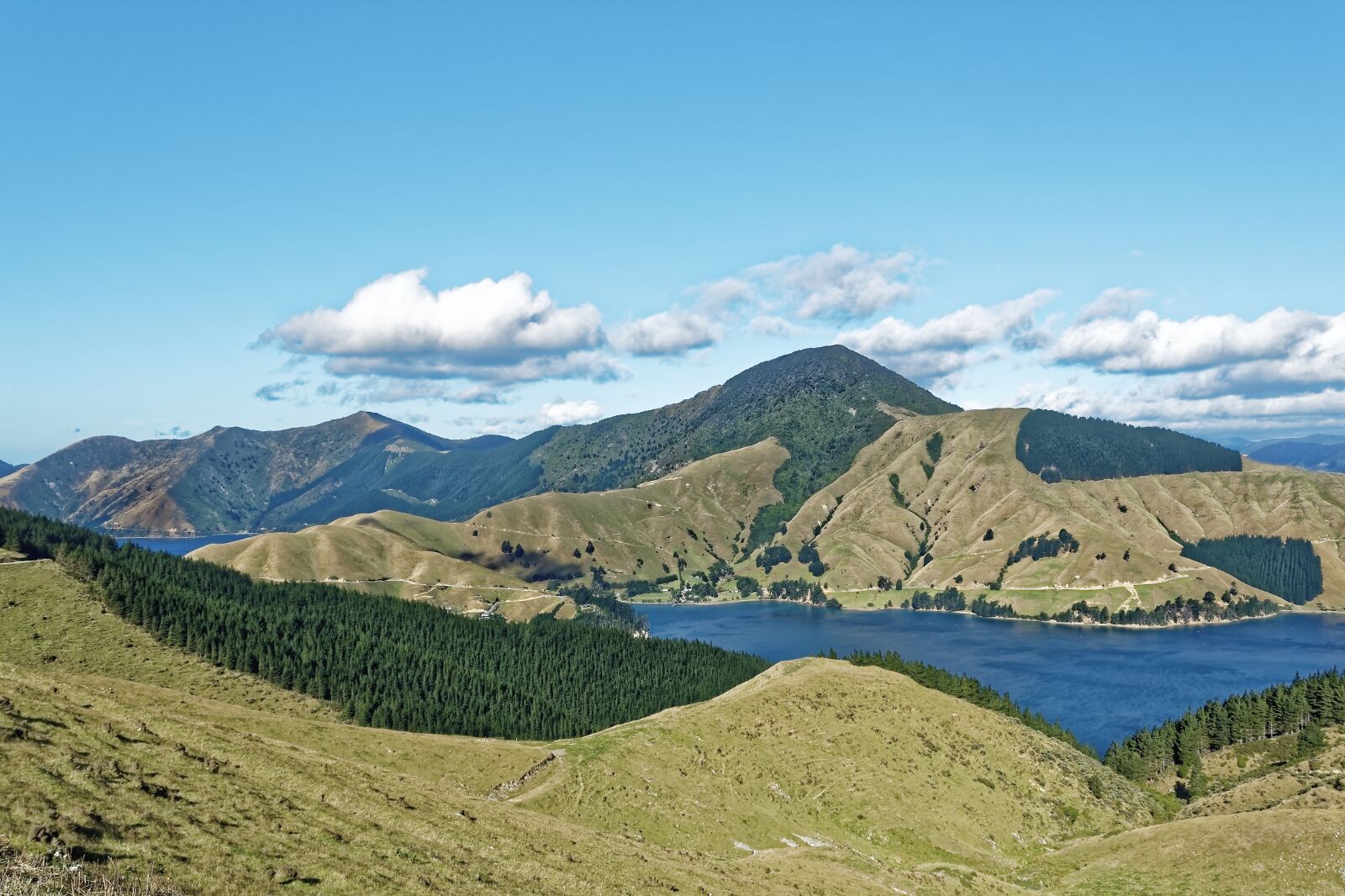 Nikon D500 sample photo. New zealand, fitzroy bay photography