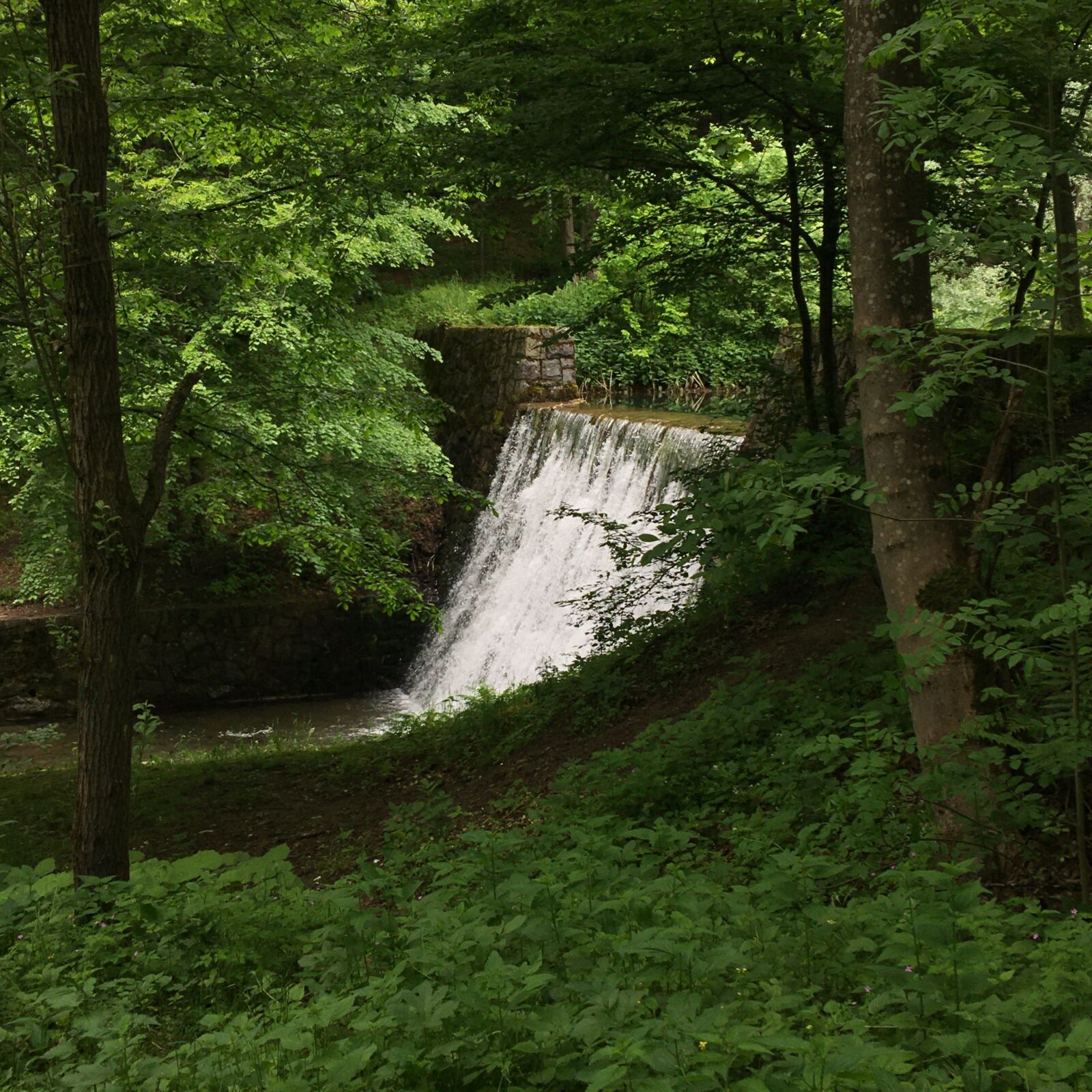 Apple iPhone 6s Plus sample photo. Waterfall, forest, water photography