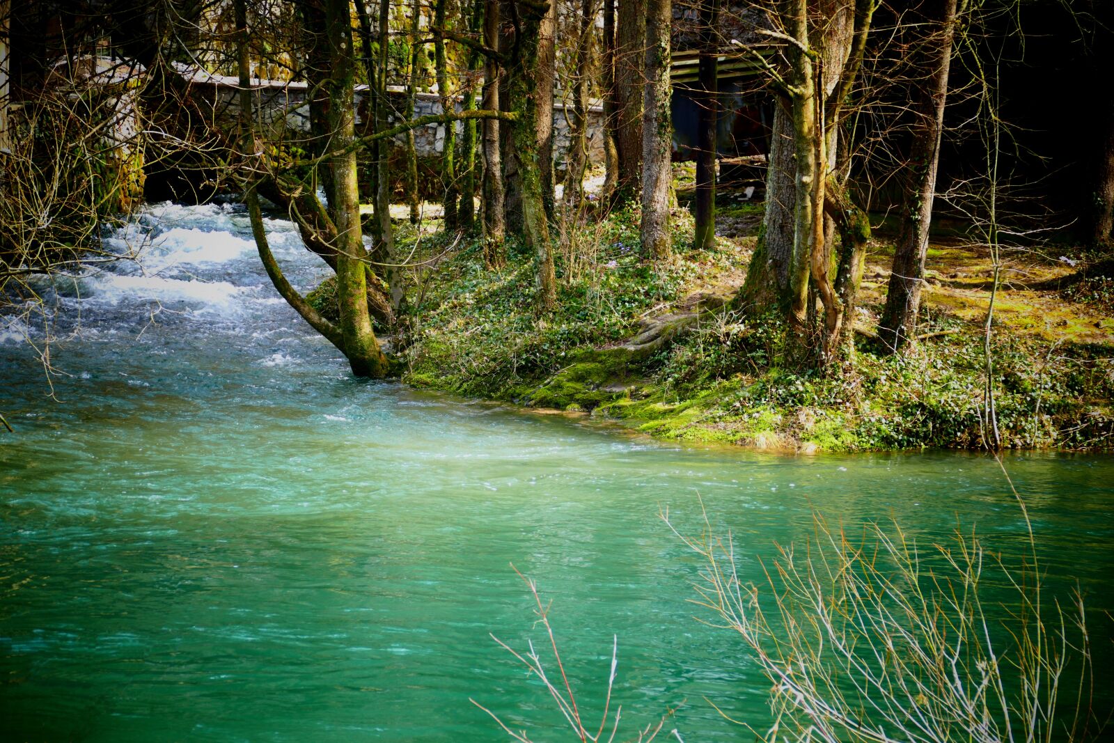 Panasonic Lumix DMC-FZ1000 sample photo. Water, river, spring photography