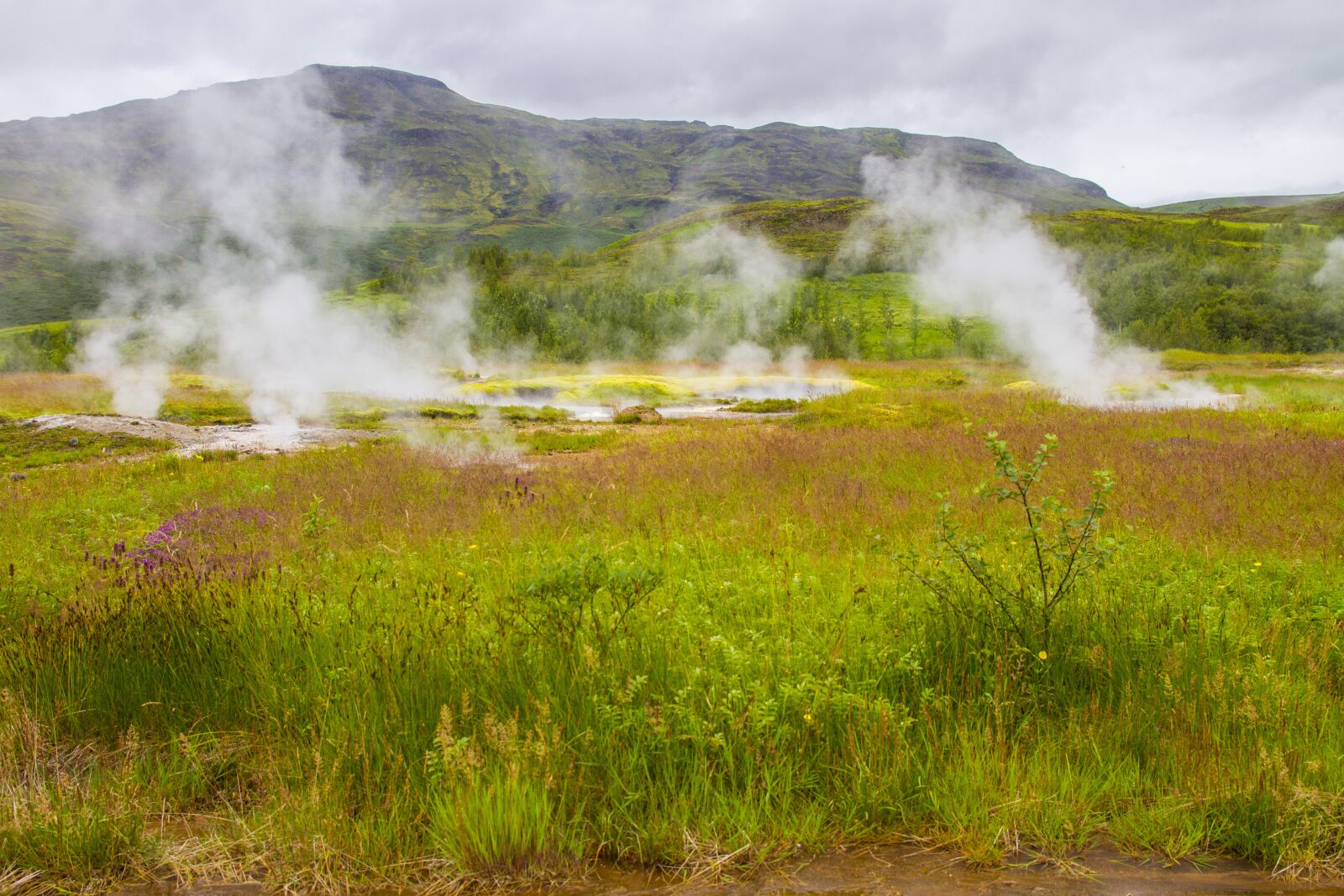 Canon EOS 7D sample photo. Iceland, landscape, hotspot photography