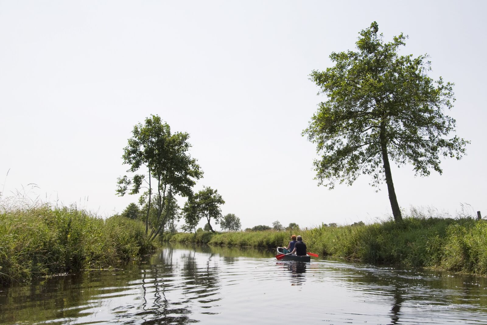 Nikon D90 sample photo. Canoeing, paddle, channel photography
