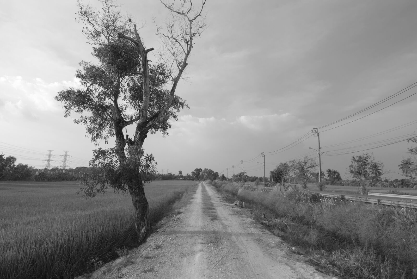 Nikon D200 sample photo. Black, and, white, countryside photography
