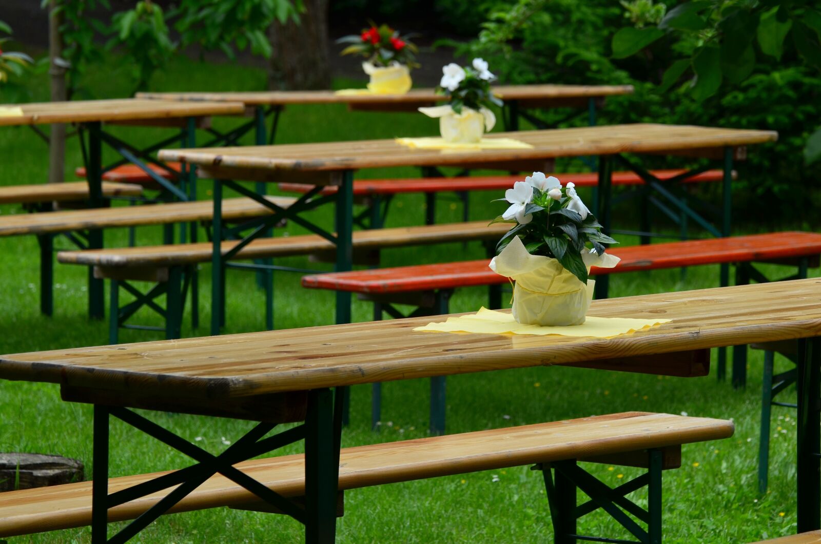 Nikon D5100 sample photo. Beer tent set, benches photography