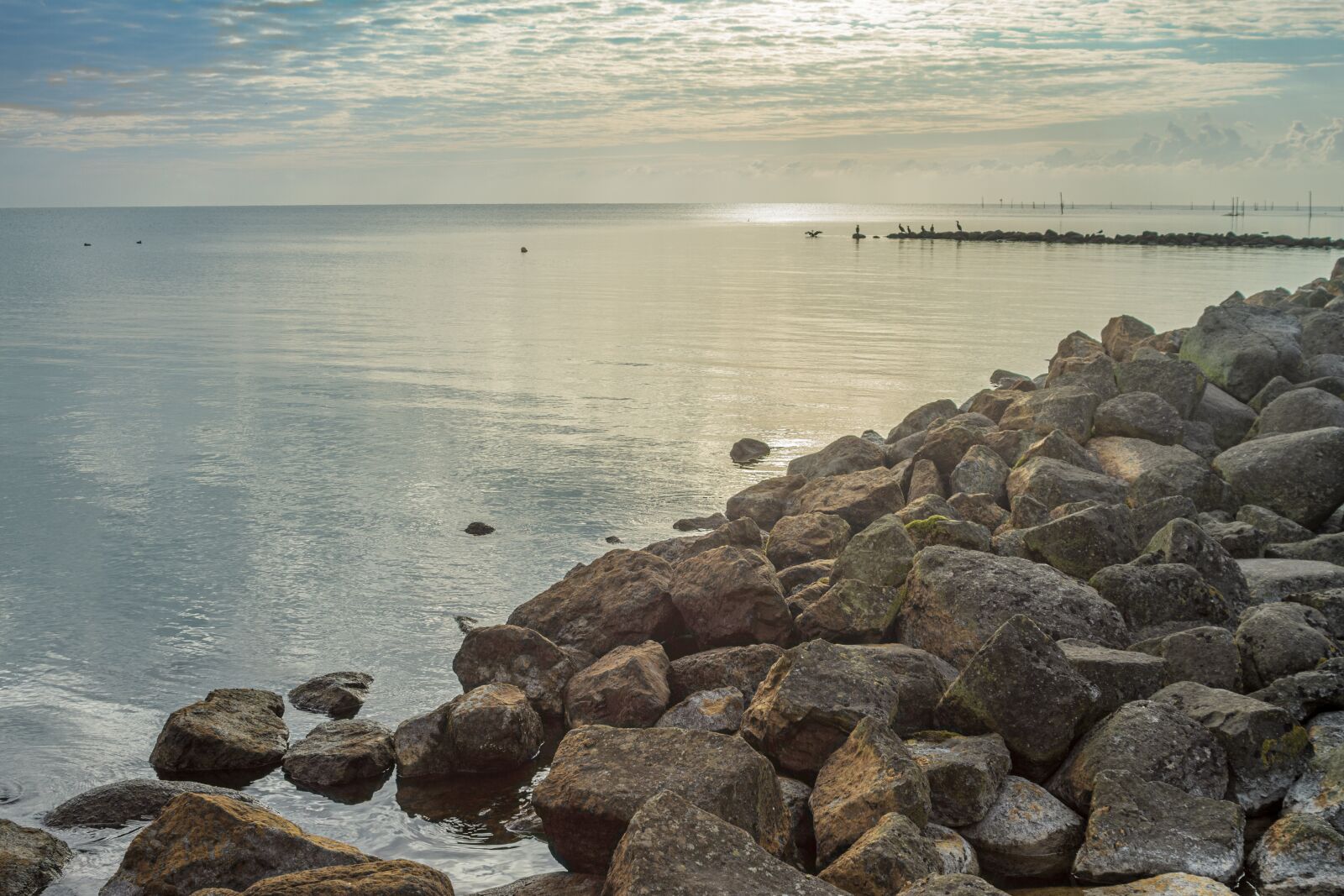 Canon EOS 7D sample photo. Ijsselmeer, andijk, holland photography