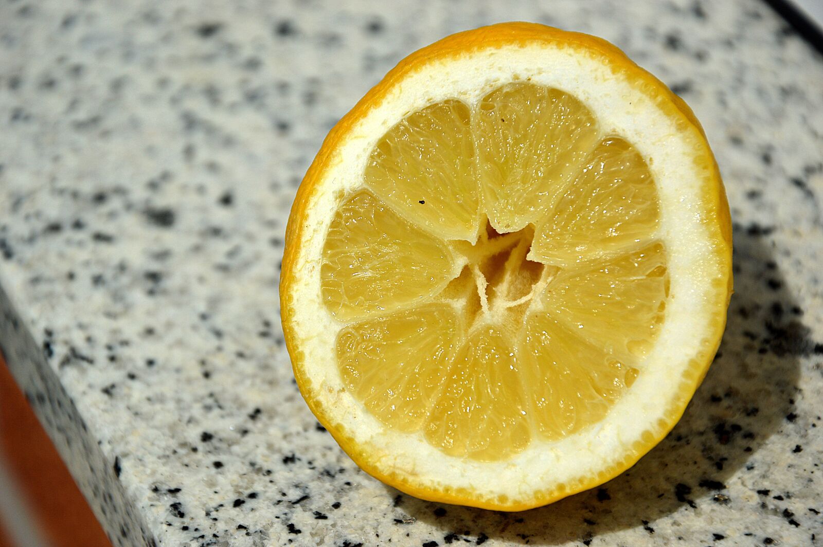 Nikon D3200 sample photo. Lemon, citrus fruit, fruits photography