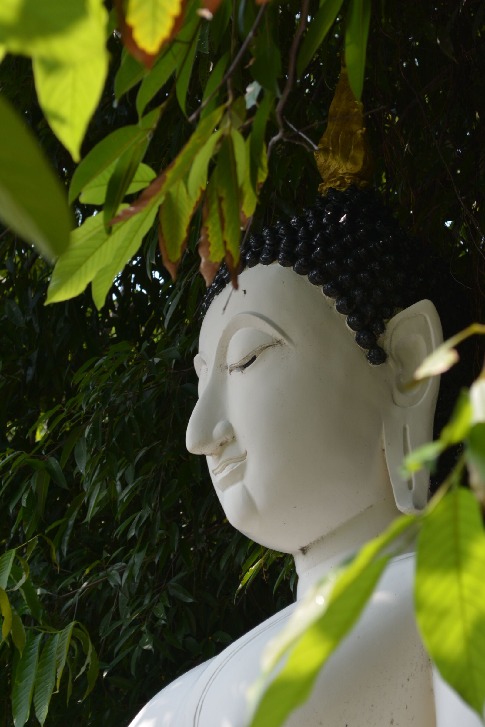 Nikon D5200 sample photo. Religion, buddha, statue photography