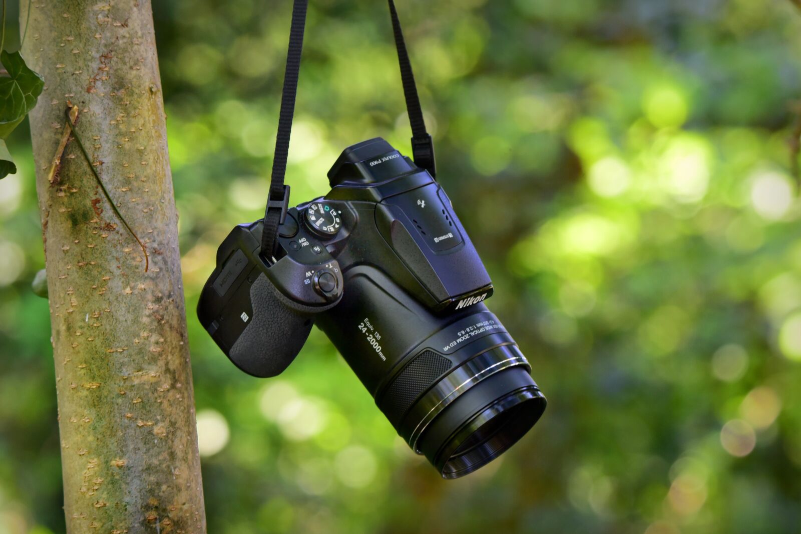 Nikon D750 sample photo. Digital camera, lens, dslr photography