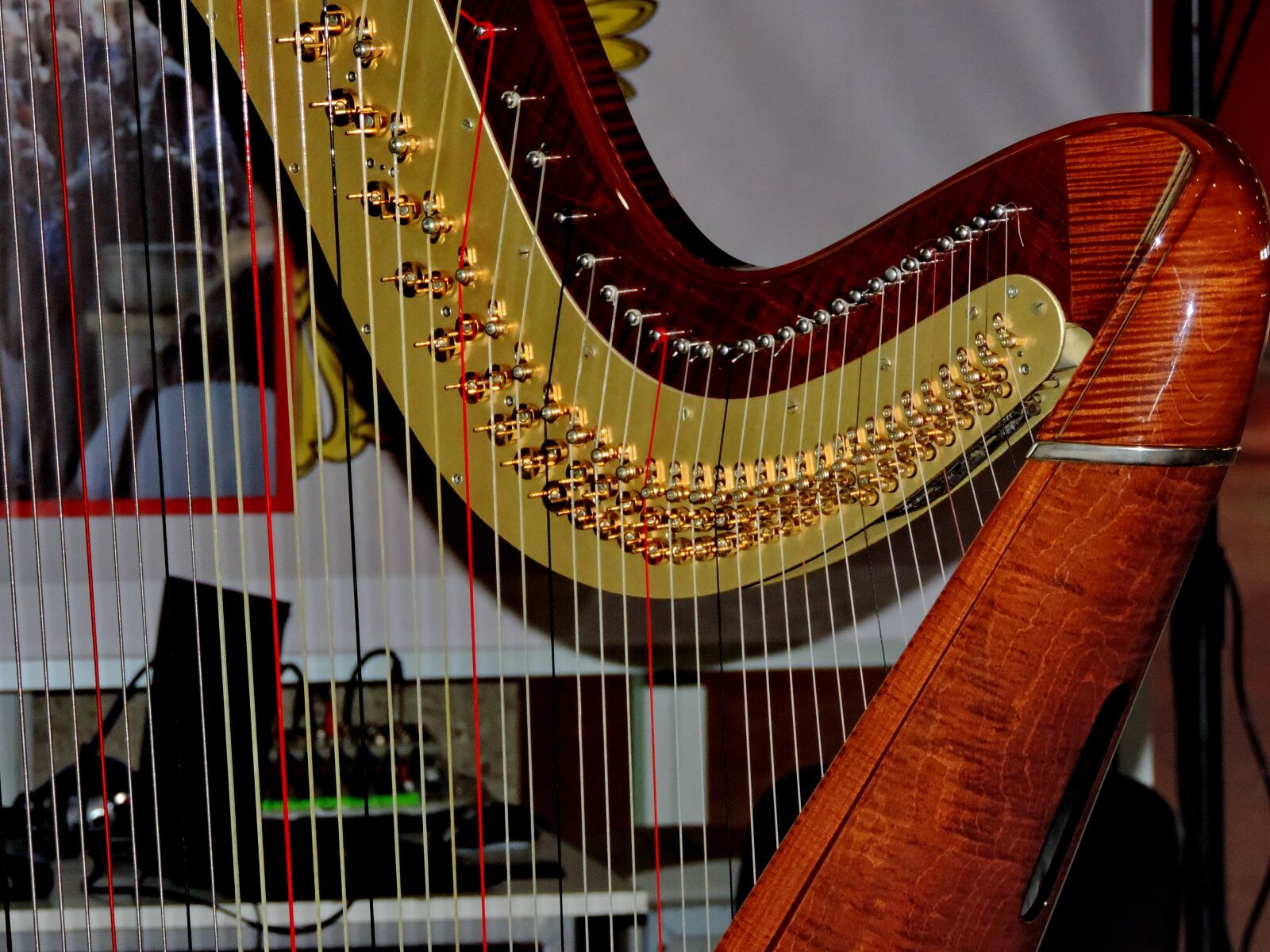 Nikon Coolpix P520 sample photo. Acoustic, luxury, orchestra, instrument photography