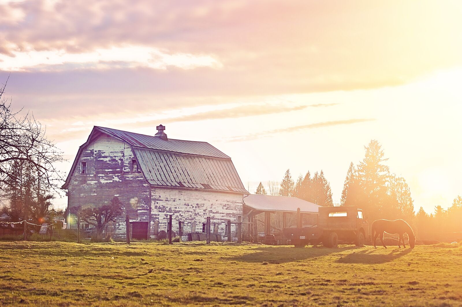 Nikon D3 sample photo. Barn, farm, nature photography