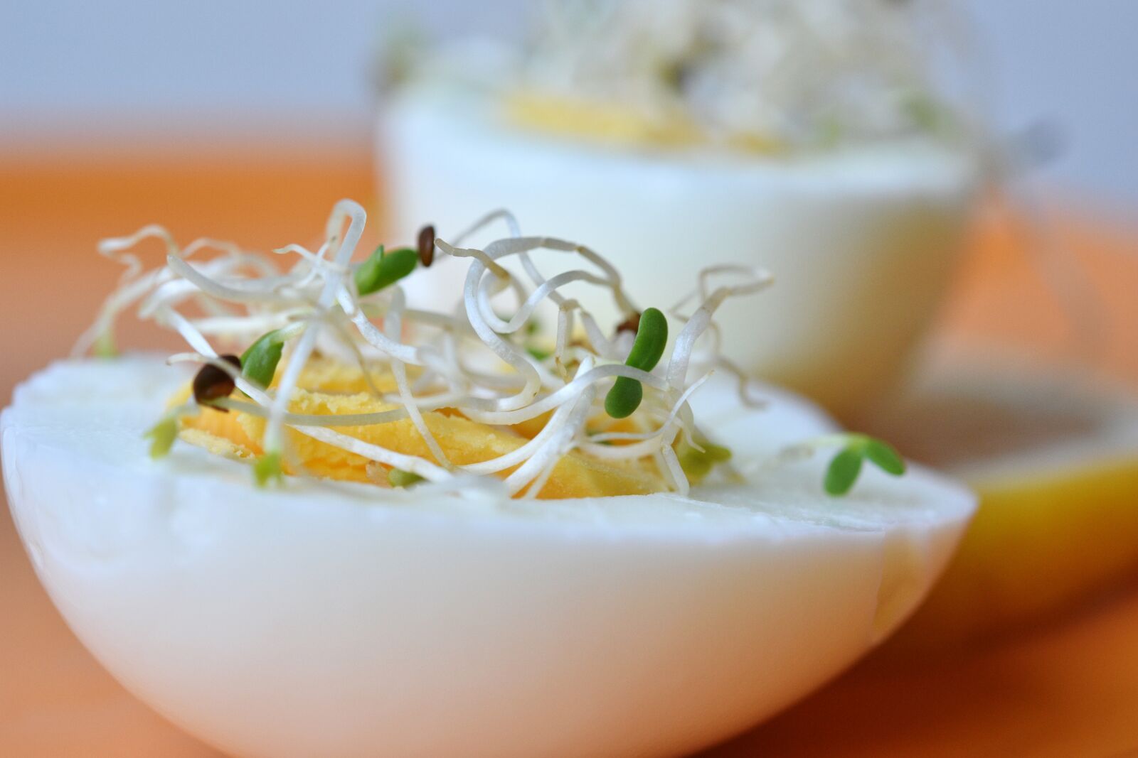 Nikon D7200 sample photo. Alfalfa, germinated, egg photography