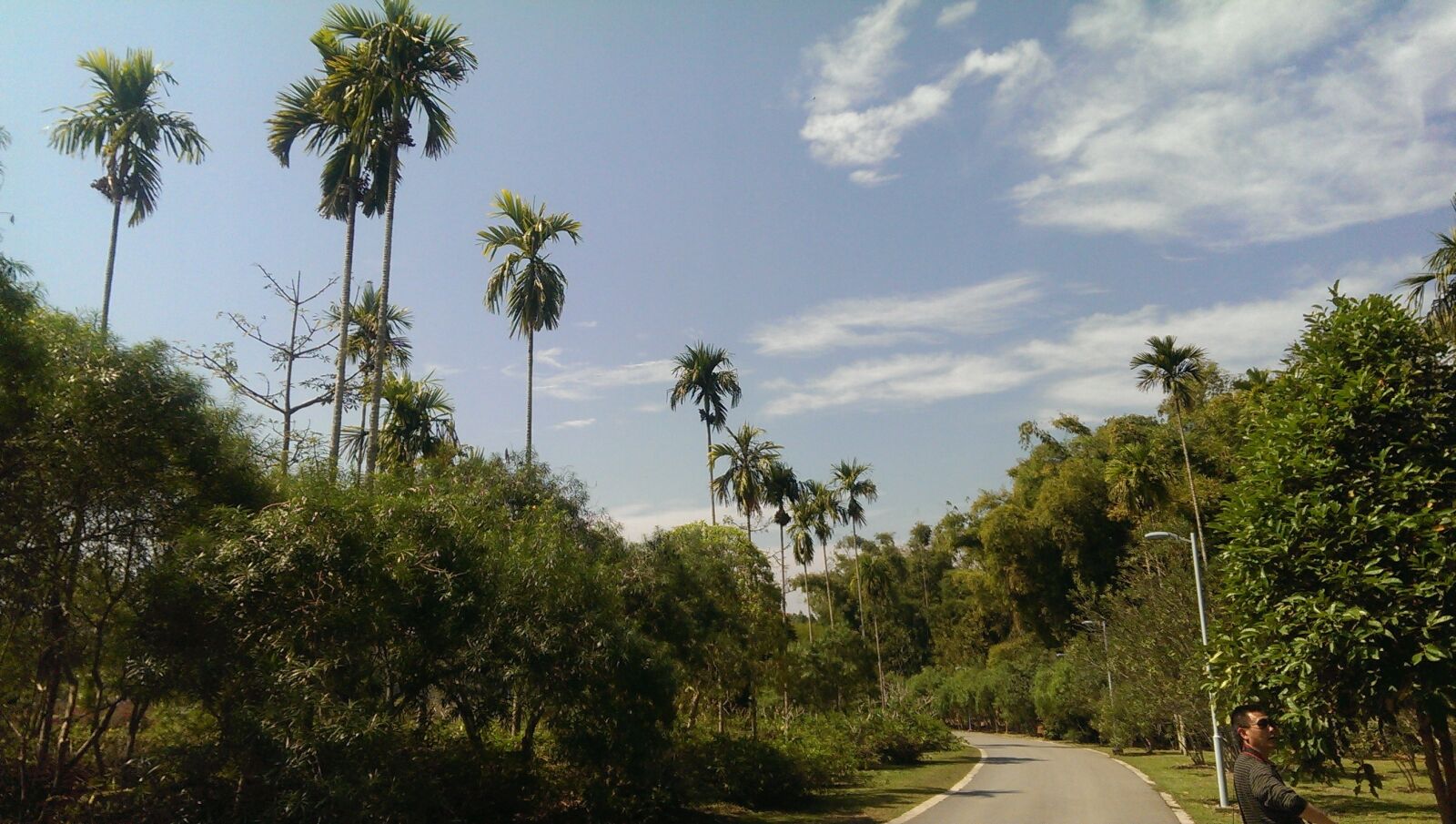 HTC ONE sample photo. In yunnan province, botanical photography