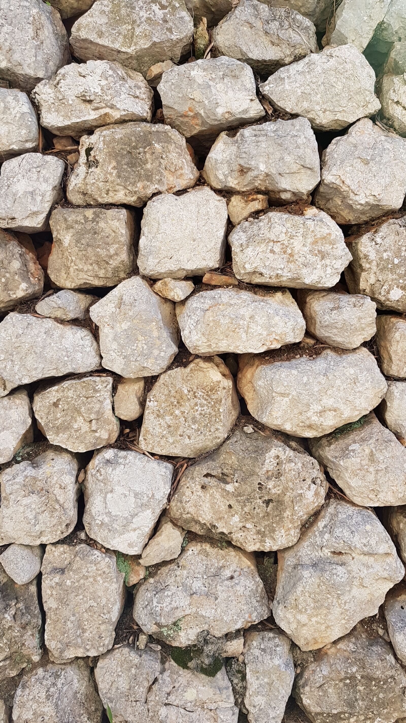 Samsung Galaxy S8+ sample photo. Desktop, pattern, fabric photography