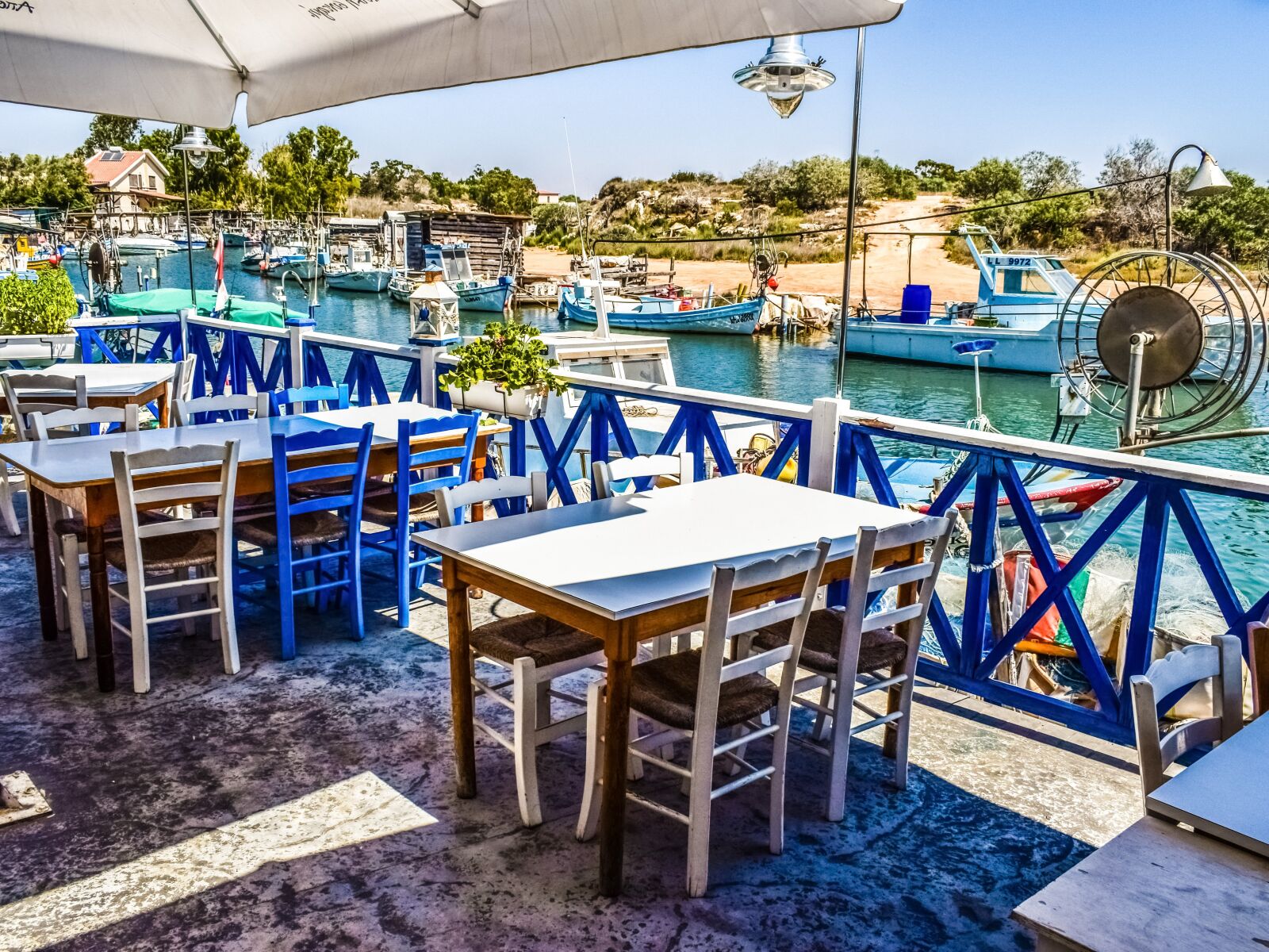 Nikon D3300 sample photo. Cyprus, potamos liopetri, fish photography