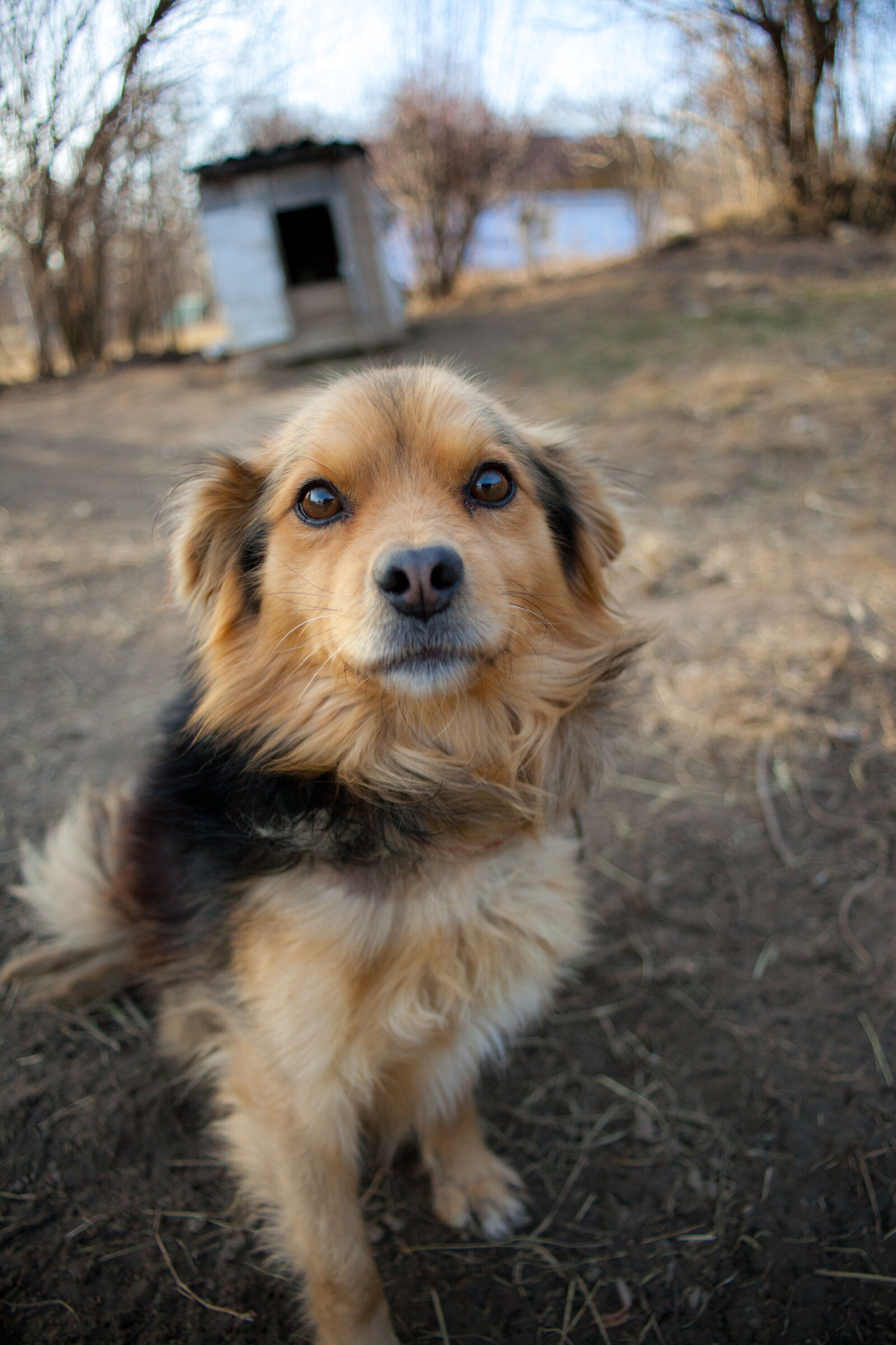 Canon EOS 5D Mark II sample photo