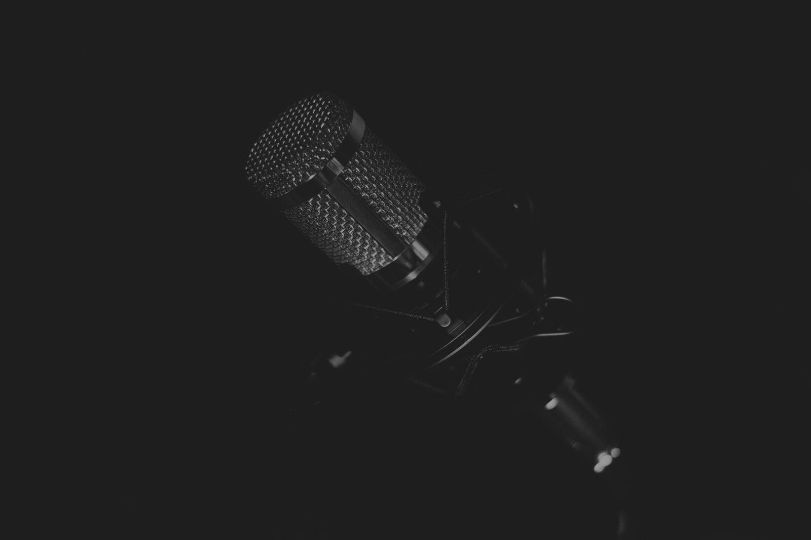 Nikon D3100 sample photo. Microphone, music, speech photography