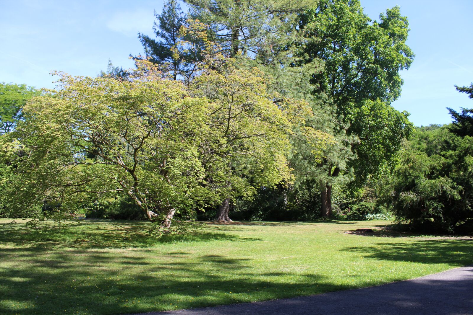 Canon EOS 1300D (EOS Rebel T6 / EOS Kiss X80) sample photo. Carl-duisberg-park, leverkusen, japanese garden photography
