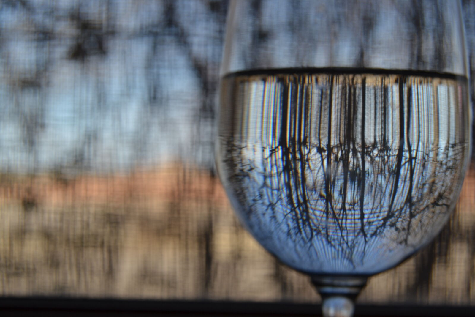 Nikon D3100 sample photo