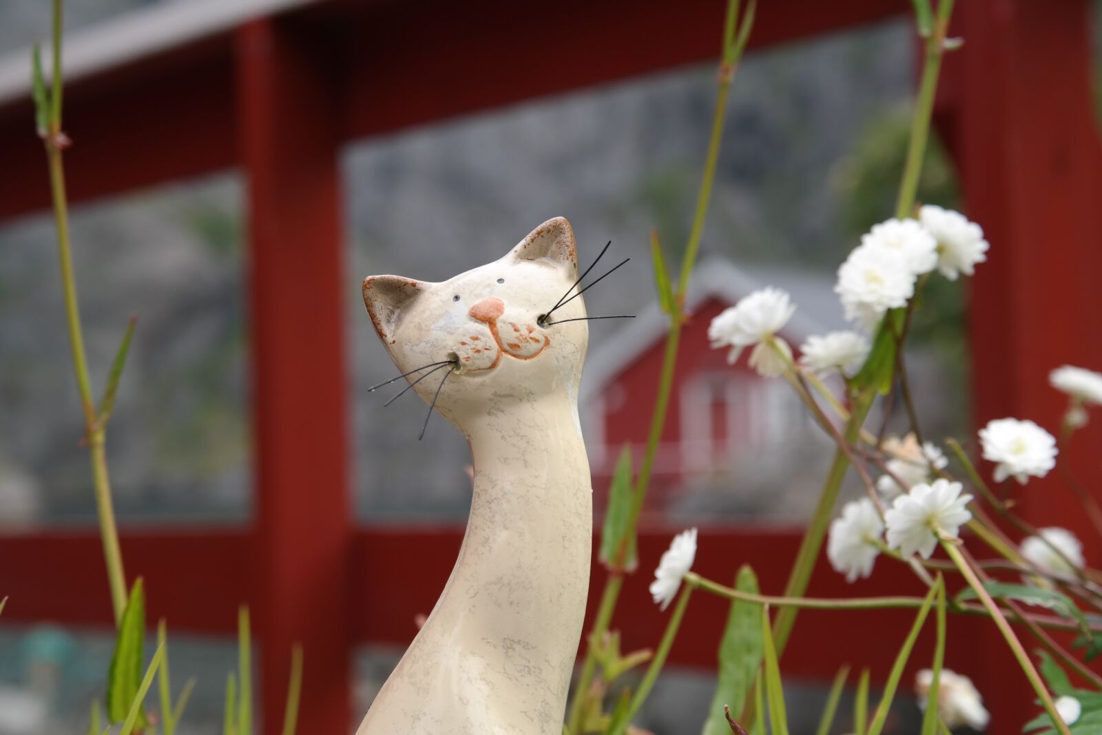 Samsung NX300 sample photo. Cat, red, figure photography