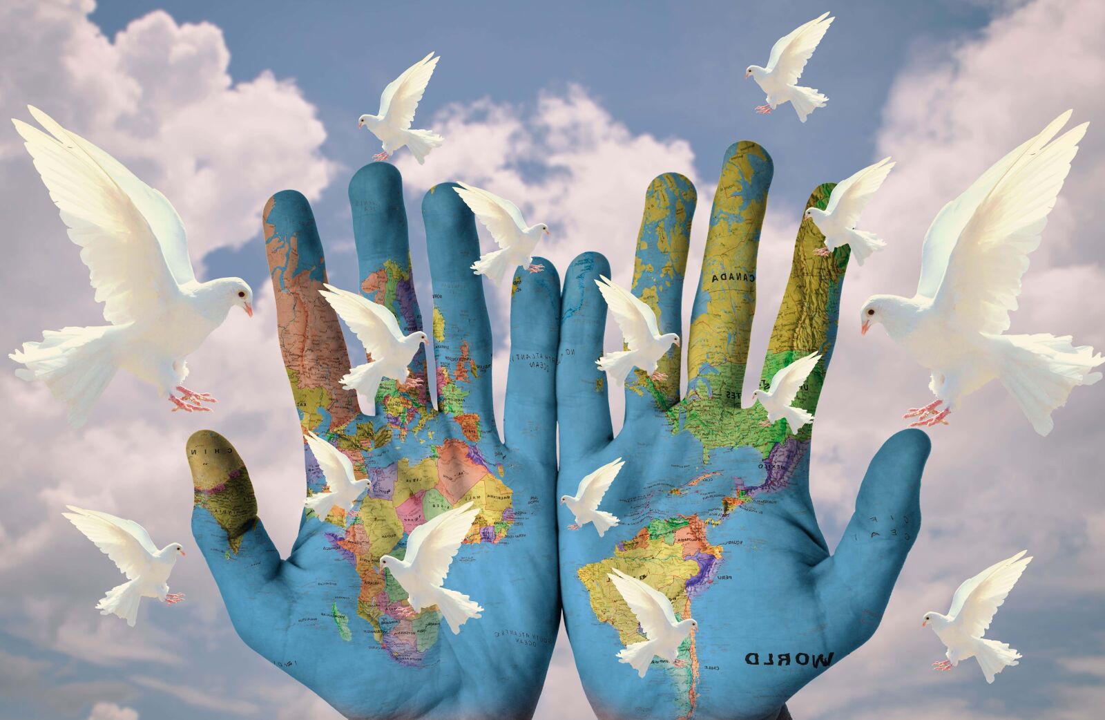 Nikon D800 sample photo. Map, hand, art, pigeon photography