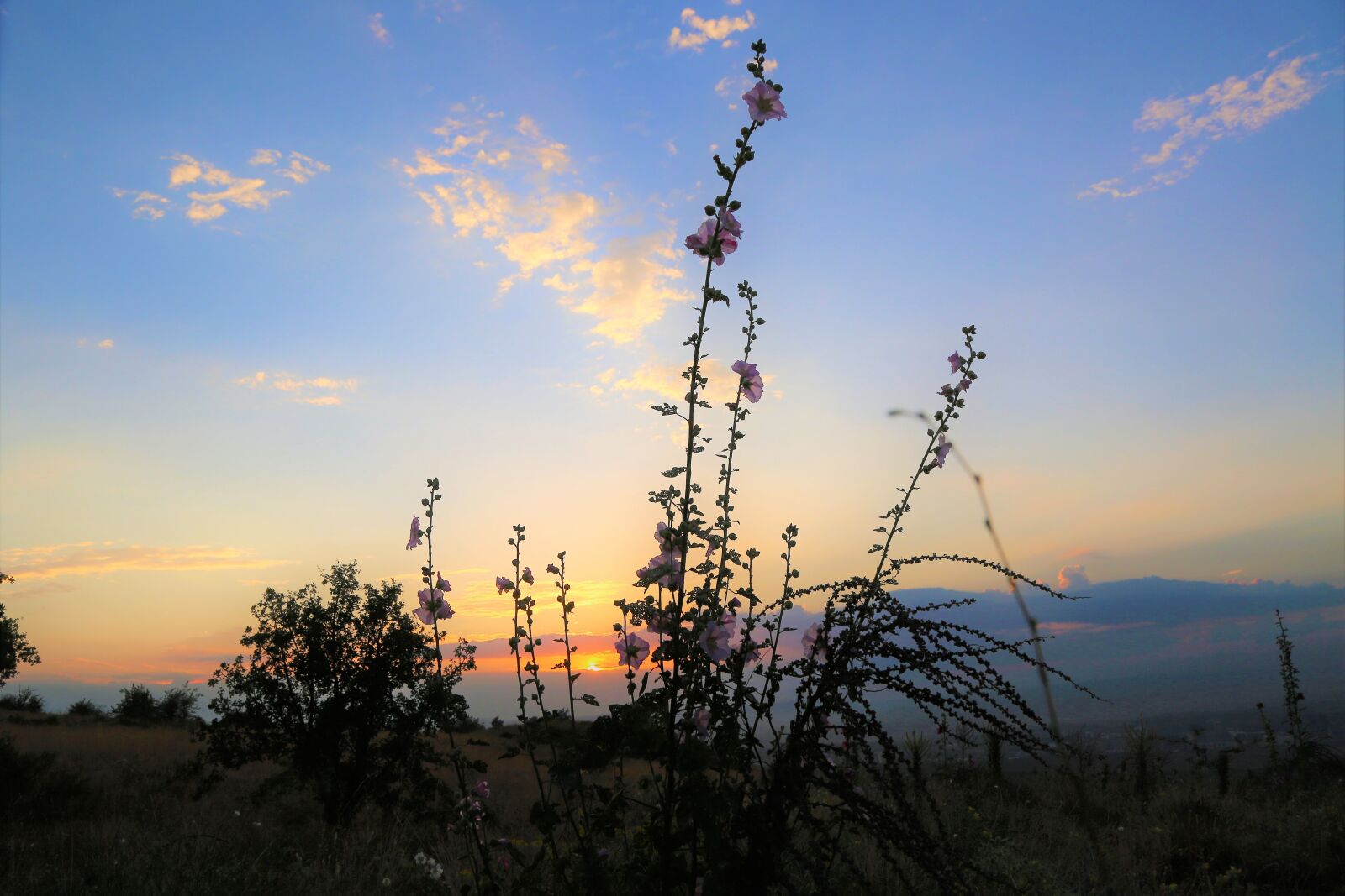 Canon EF 24-105mm F4L IS USM sample photo. Sunset, in the evening photography