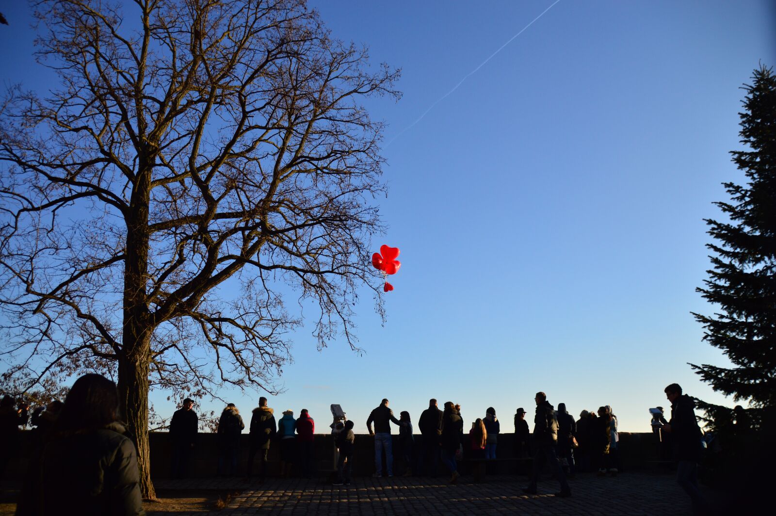 Nikon D3200 sample photo. Sky, nature, sunrise photography