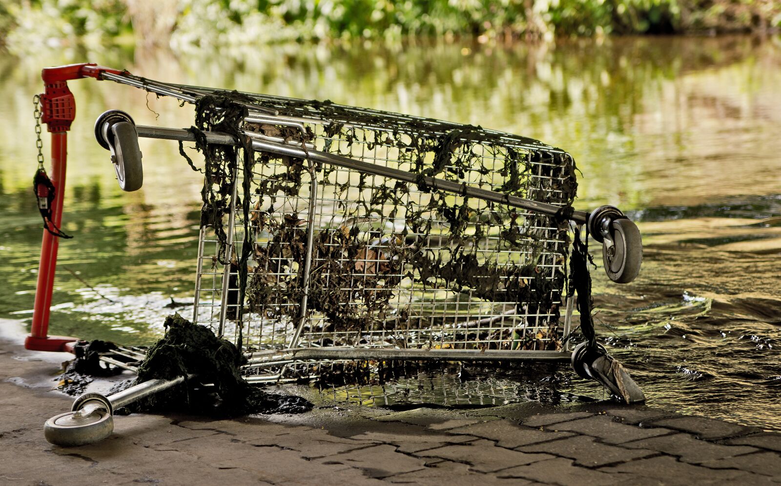 Sony SLT-A55 (SLT-A55V) sample photo. Shopping cart, river, nature photography