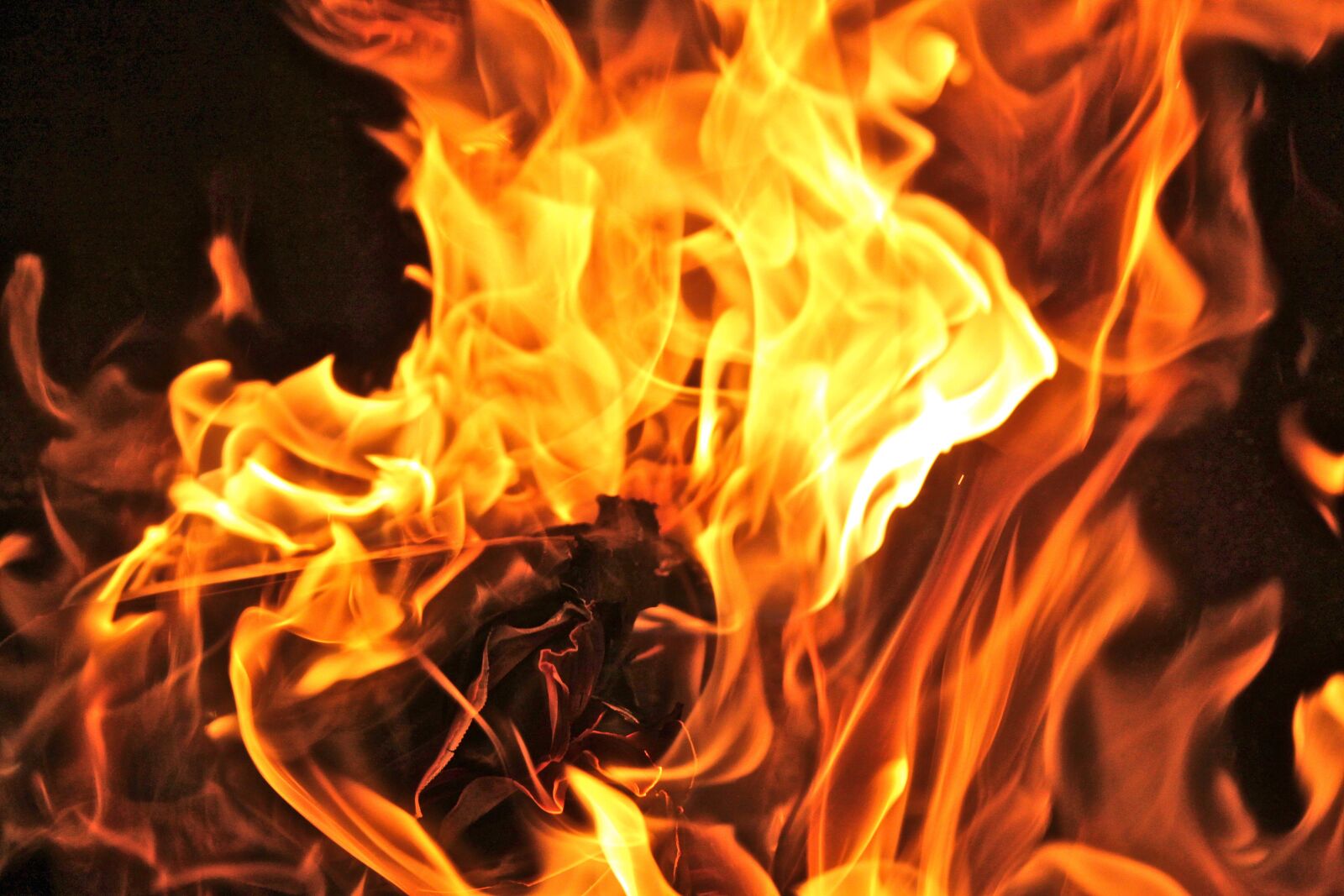 Canon EOS 500D (EOS Rebel T1i / EOS Kiss X3) sample photo. Flame, heat, bonfire photography