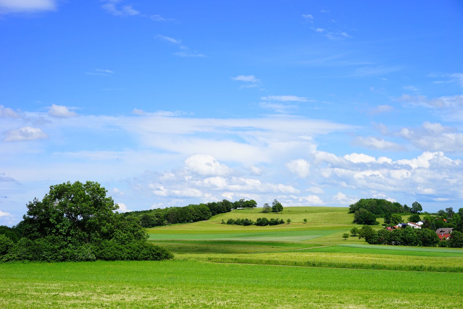 Sony a7 + Sony Sonnar T* FE 55mm F1.8 ZA sample photo. Swabian alb, landscape, nature photography