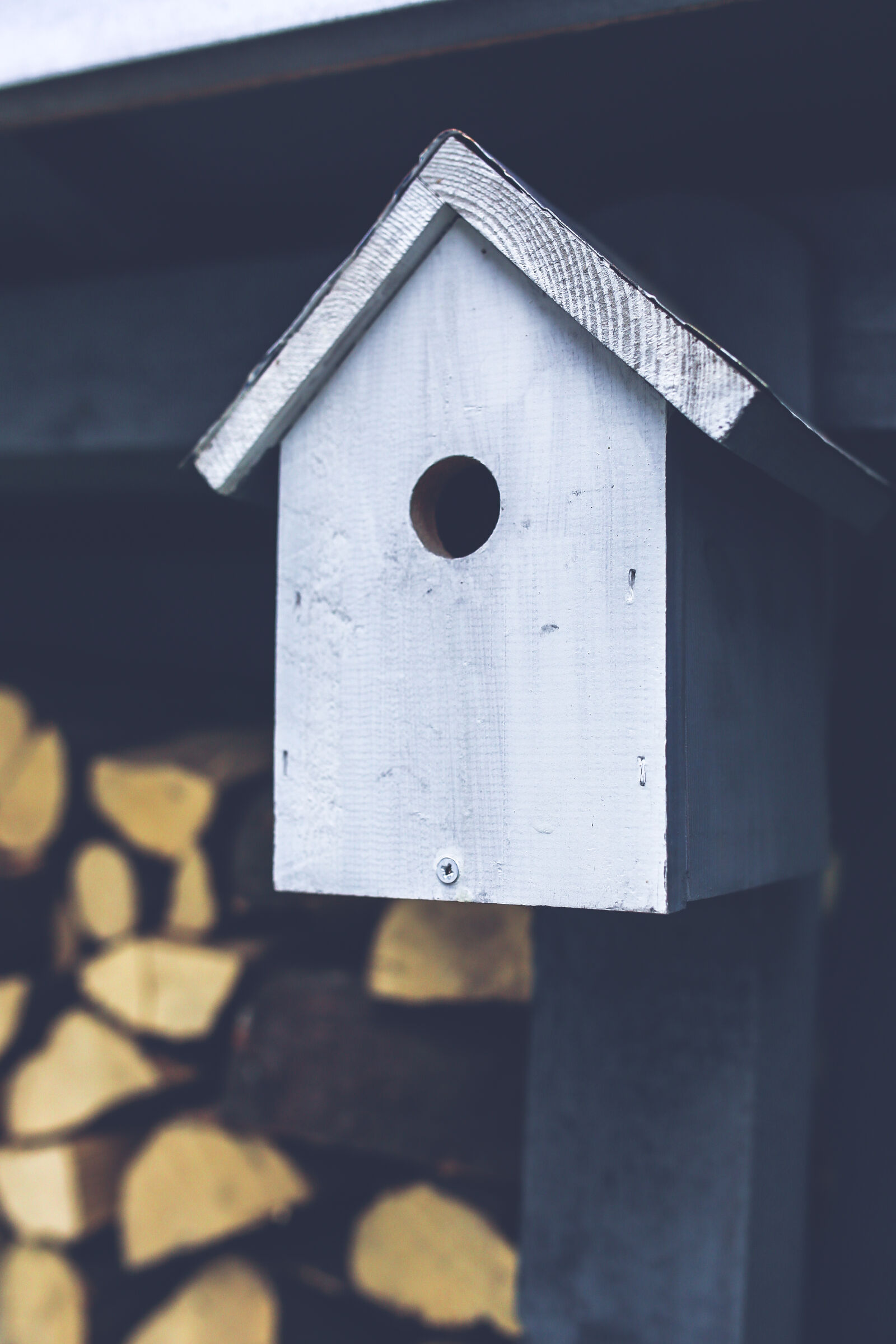 Canon EOS 6D + Sigma 35mm F1.4 DG HSM Art sample photo. Gray, birdhouse photography