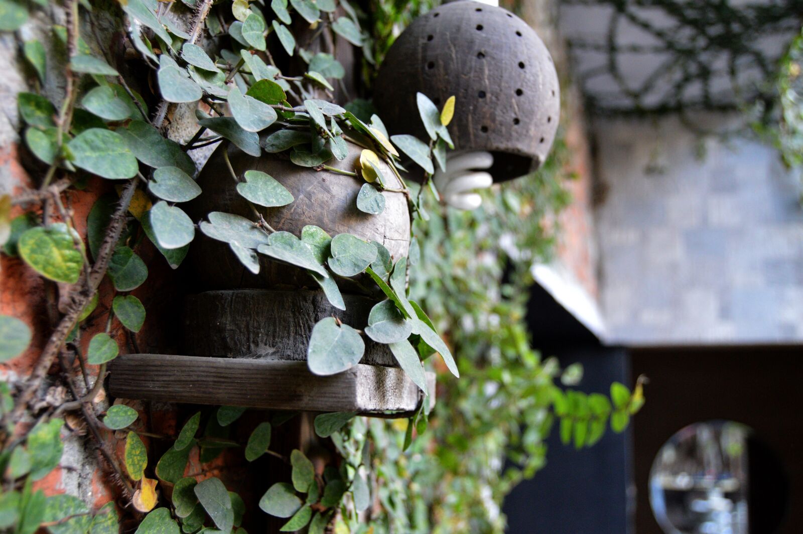 Nikon D3200 sample photo. Nature, garden, decor photography