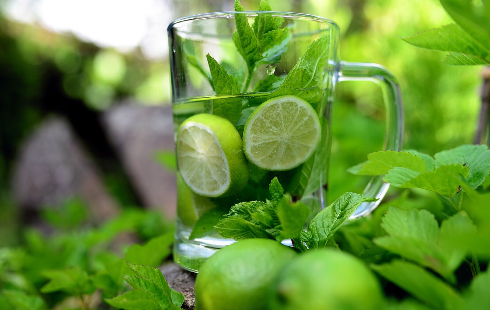 Nikon D610 sample photo. Mint, peppermint, detox photography